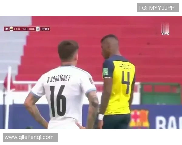 2014年世界杯乌拉圭与厄瓜多尔激战回顾及精彩瞬间分析