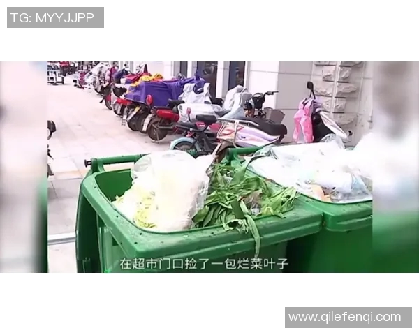 芝华士与罗伯士BUAP的全面对比分析与市场表现探讨 芝华士与罗伯士BUAP的全面对比分析与市场表现探讨